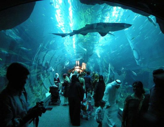 Dubai Aquarium and Underwater Zoo