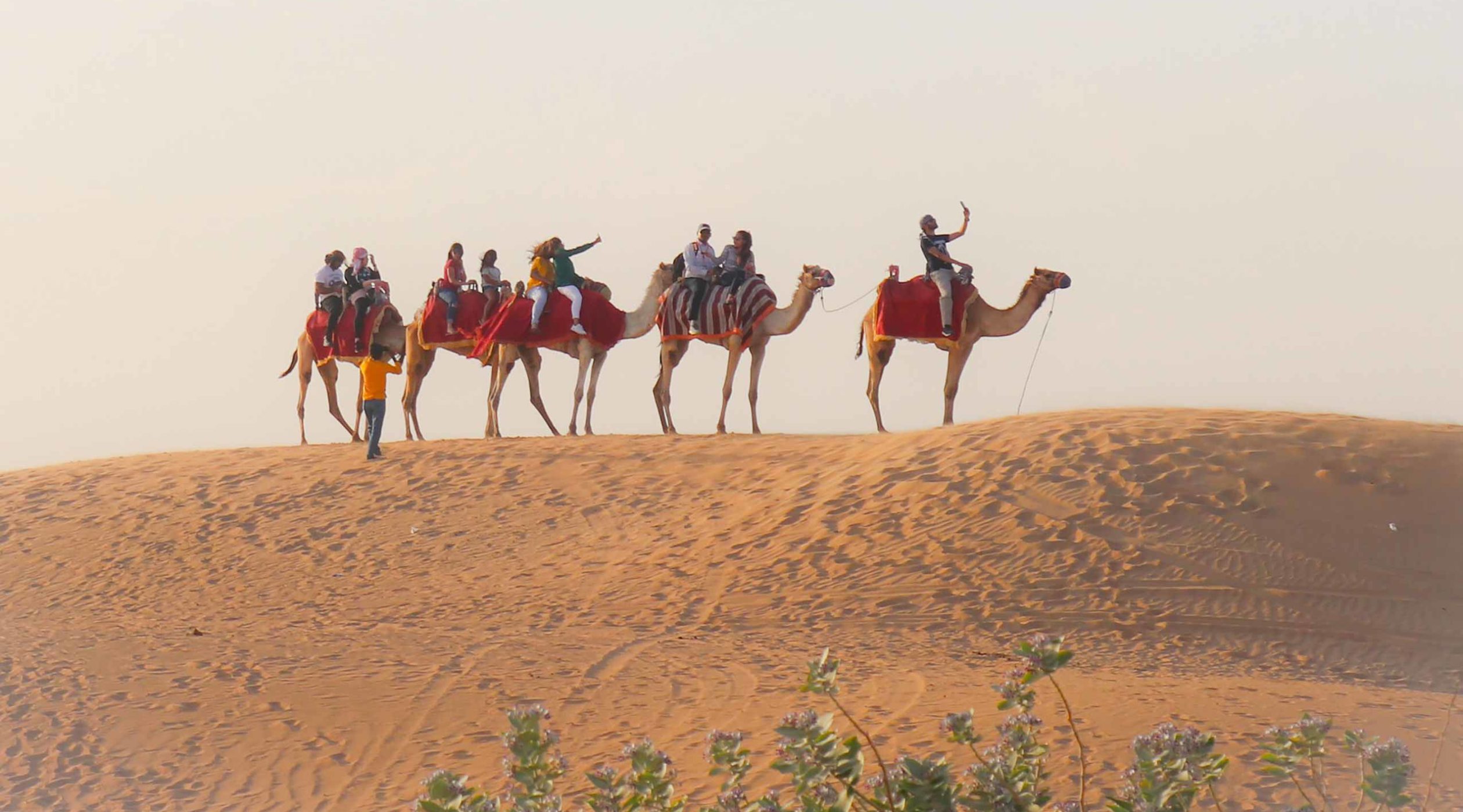 Dubai desert